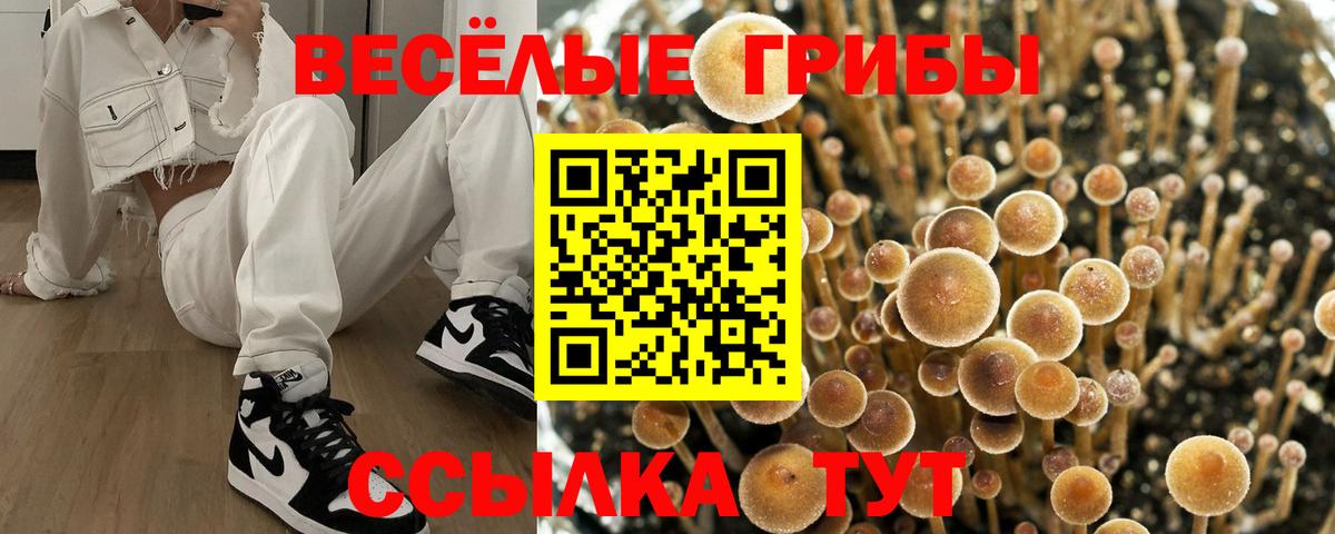 Галлюциногенные грибы прущие грибы Томск